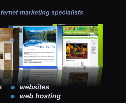 Custom Websites Custom Websites